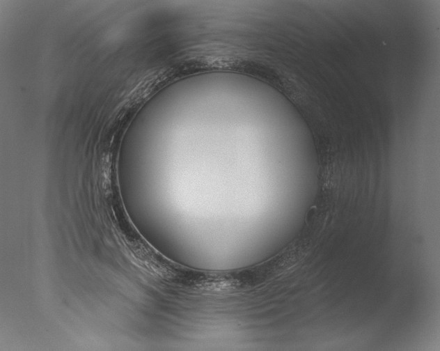 X0000076330646200610201706