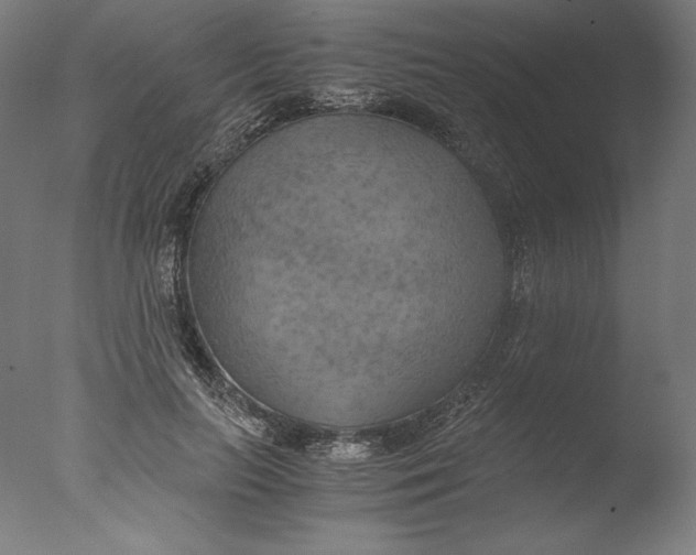 X0000076330647200610201706