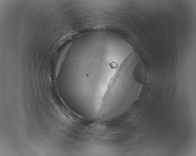 X0000076330648200610201706