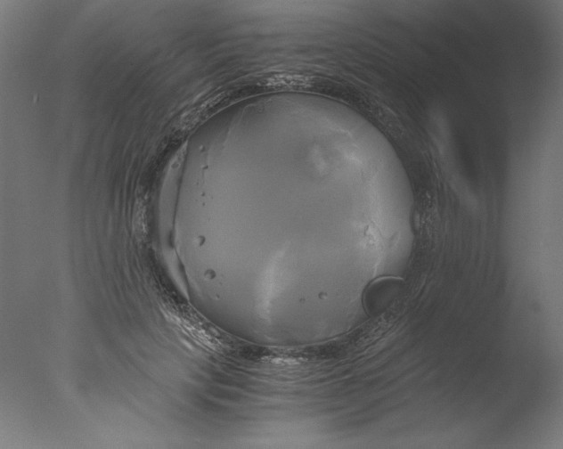 X0000076330649200610201706