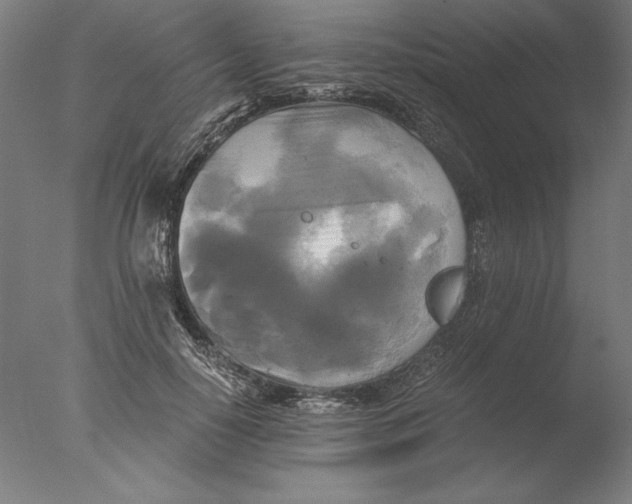 X0000076330650200610201706