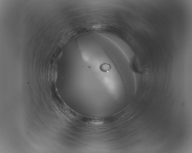 X0000076330651200610201706