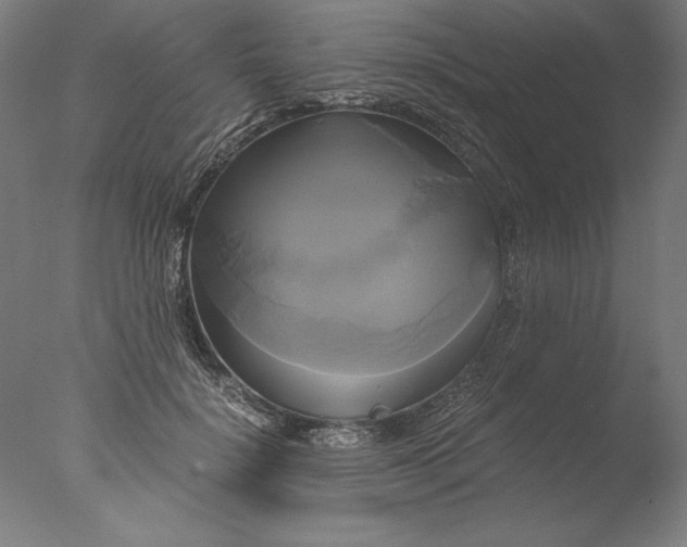 X0000076330652200610201706