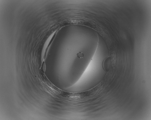 X0000076330653200610201706