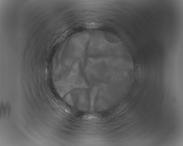 X0000076330655200610201706