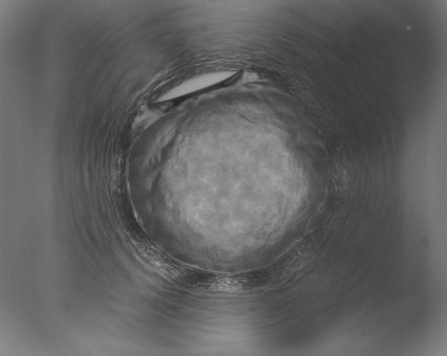 X0000076330656200610201706