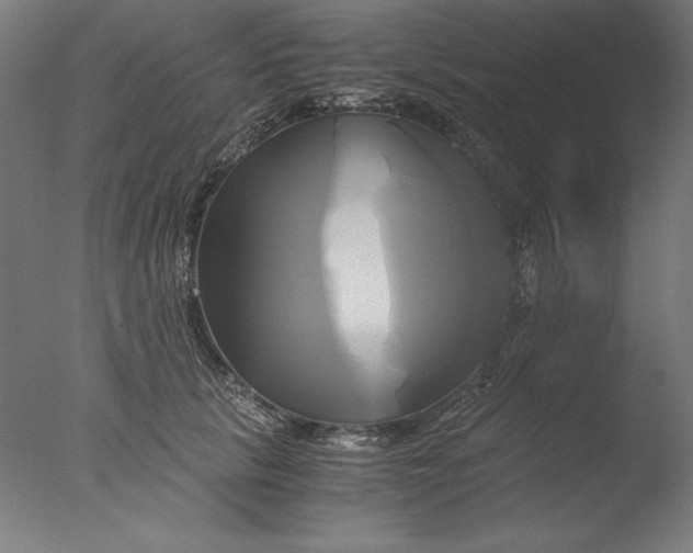 X0000076330657200610201706