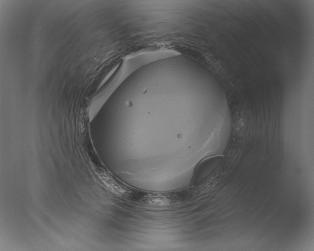 X0000076330658200610201706