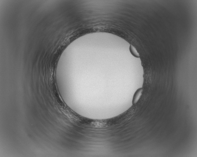 X0000076330660200610201706