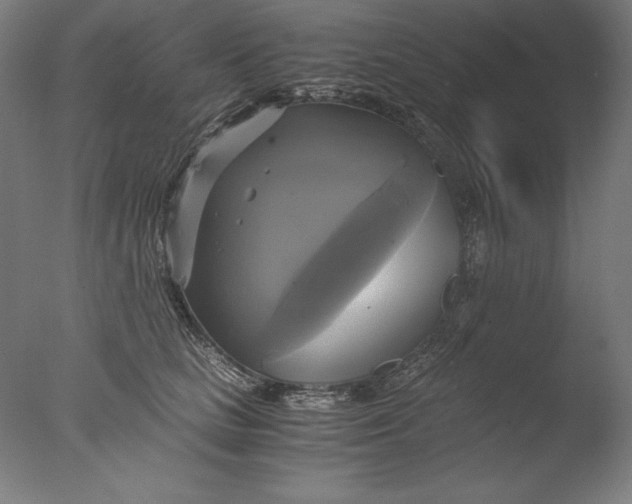 X0000076330661200610201706