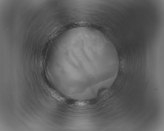 X0000076330662200610201706