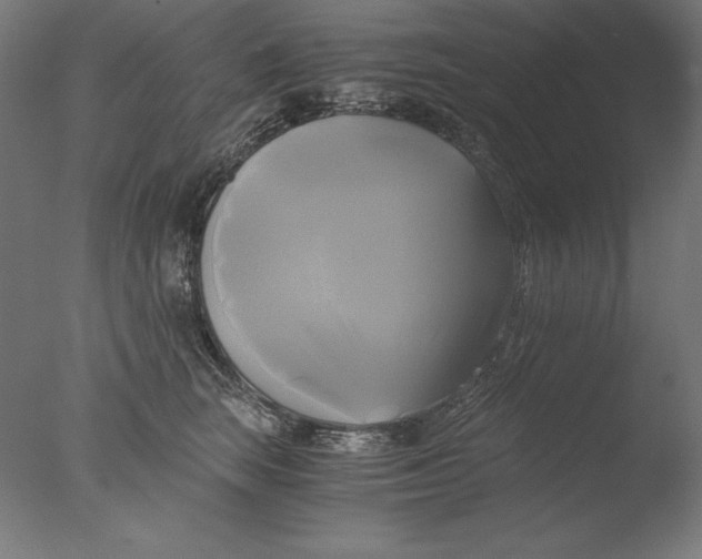 X0000076330663200610201706