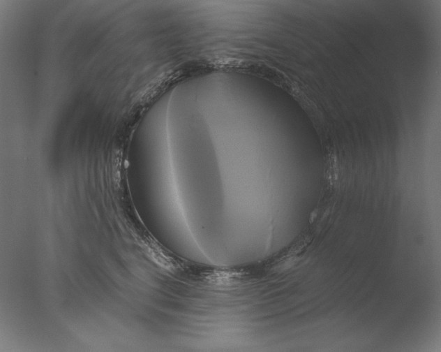 X0000076330664200610201706