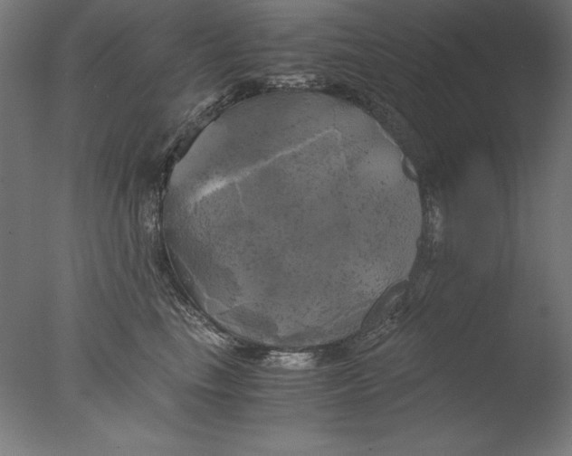 X0000076330665200610201706