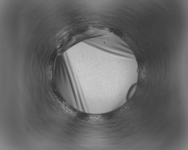 X0000076330666200610201706