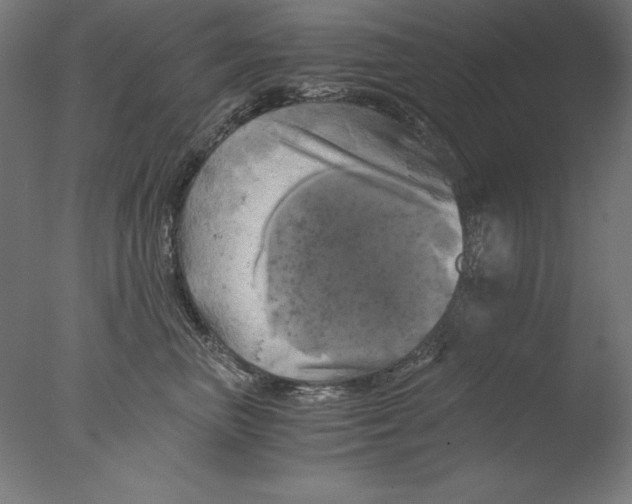 X0000076330667200610201706