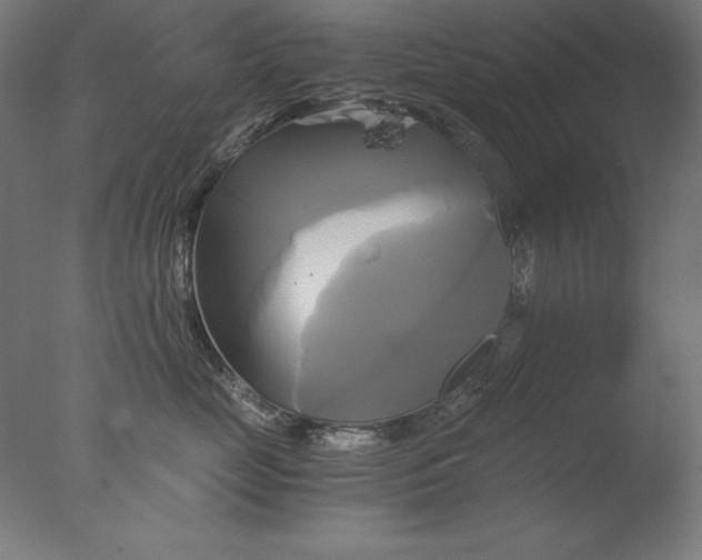 X0000076330669200610201706