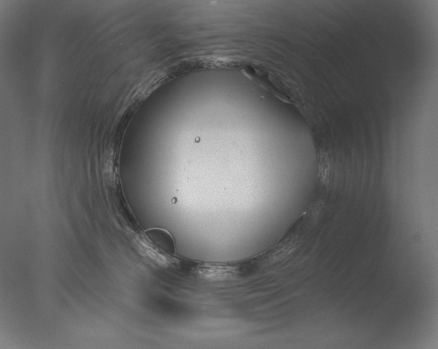 X0000076330670200610201706