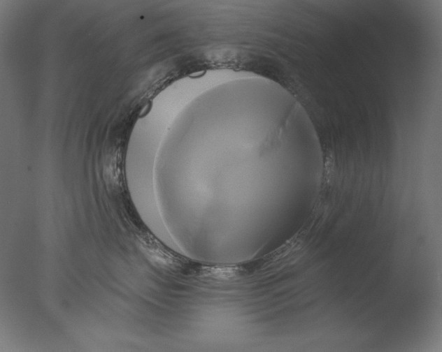 X0000076330671200610201706