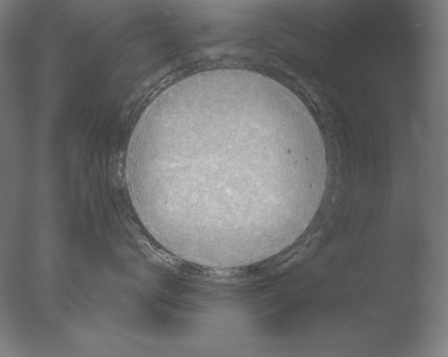 X0000076330672200610201706