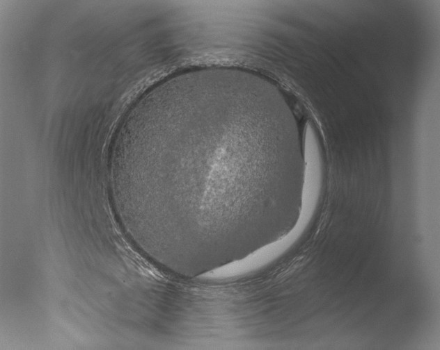 X0000076330673200610201705