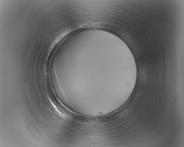 X0000076330674200610201705