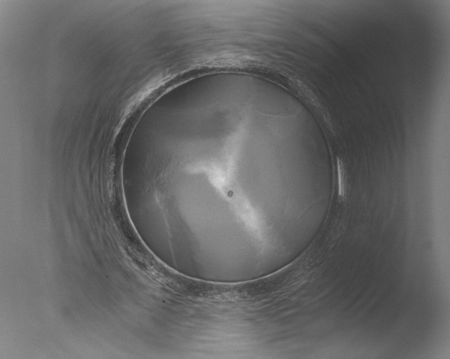 X0000076330675200610201705