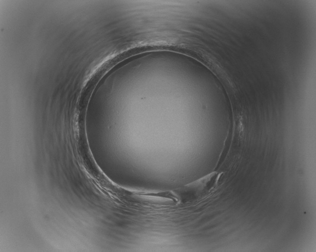 X0000076330676200610201705