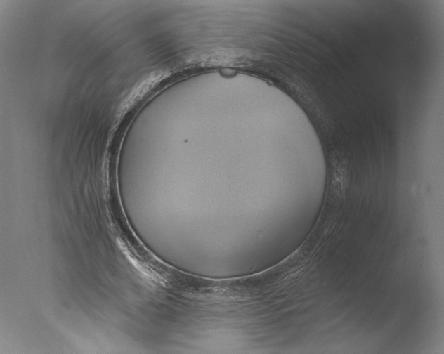 X0000076330678200610201705