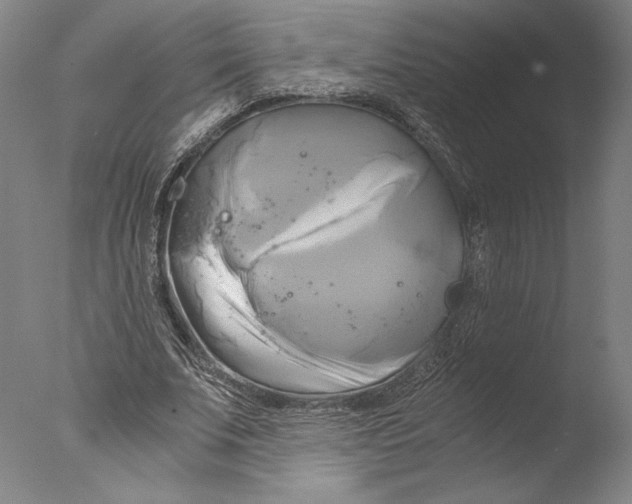 X0000076330679200610201705