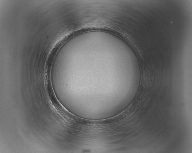 X0000076330680200610201705