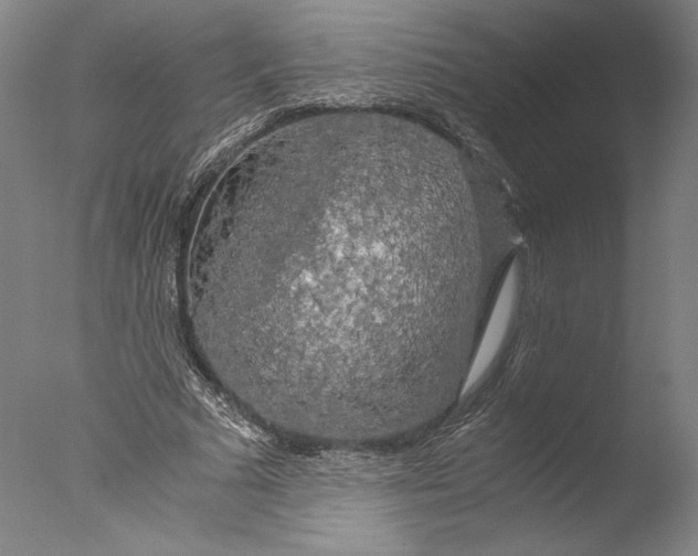 X0000076330681200610201705