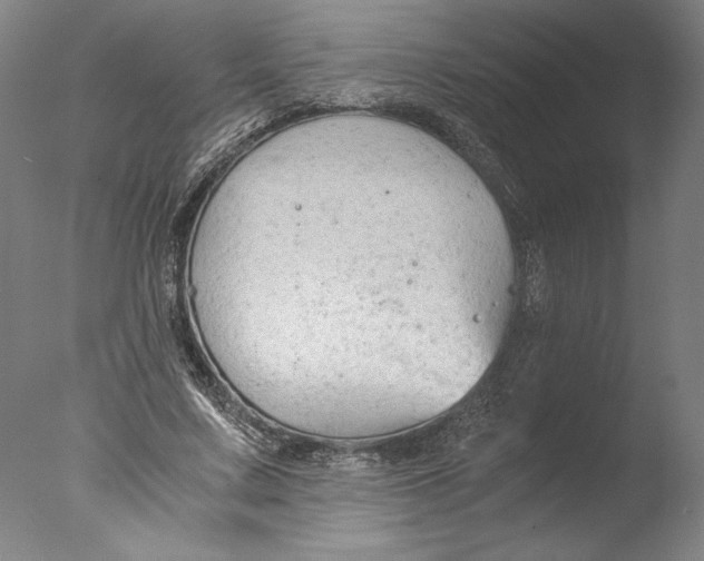 X0000076330683200610201705