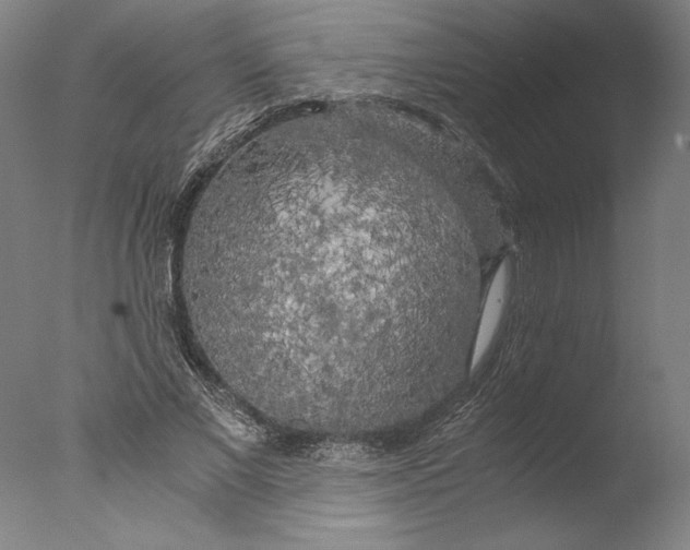 X0000076330685200610201705