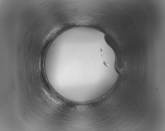 X0000076330686200610201705