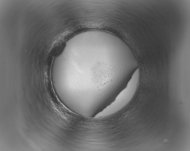 X0000076330688200610201705