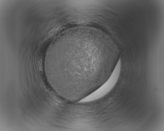 X0000076330689200610201705