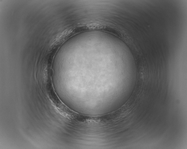 X0000076330690200610201705