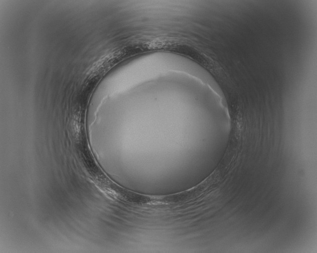 X0000076330691200610201705