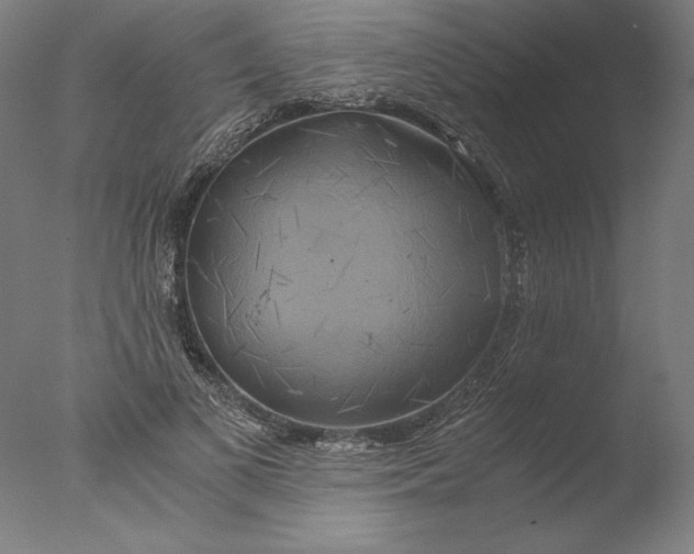 X0000076330693200610201705