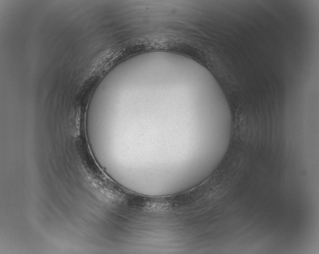 X0000076330694200610201705