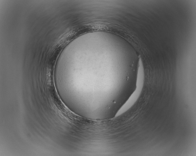 X0000076330696200610201705