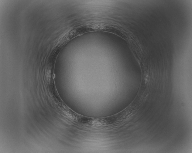 X0000076330697200610201705