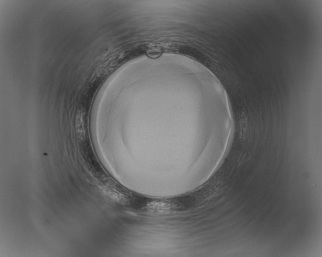 X0000076330699200610201705