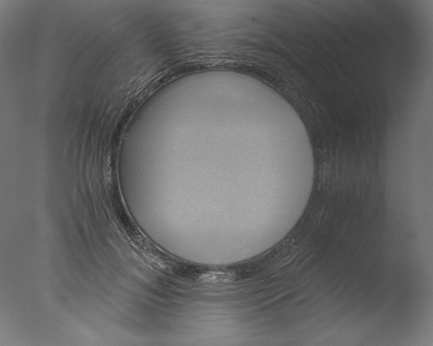 X0000076330700200610201705