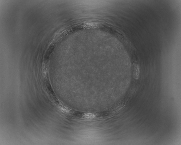 X0000076330701200610201705