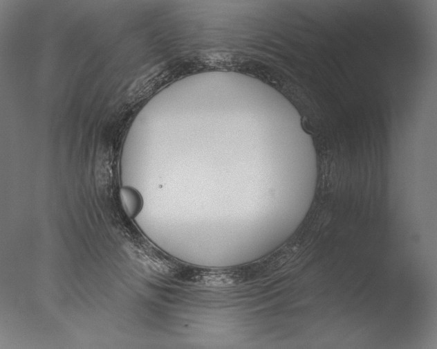 X0000076330702200610201705