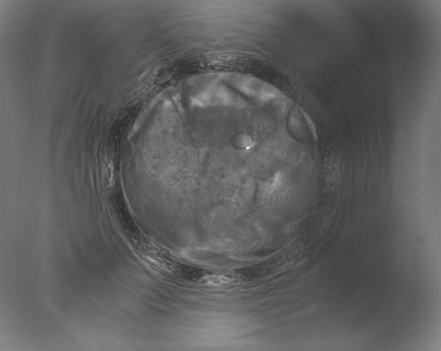 X0000076330703200610201705