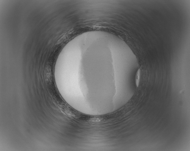 X0000076330704200610201705