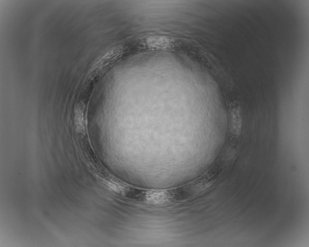 X0000076330705200610201705